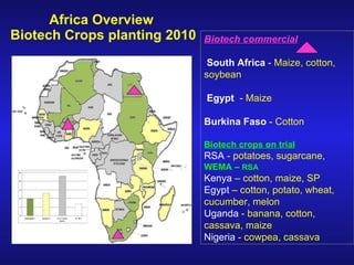 Global status of commercialized biotech/GM crops—Which way for Africa?