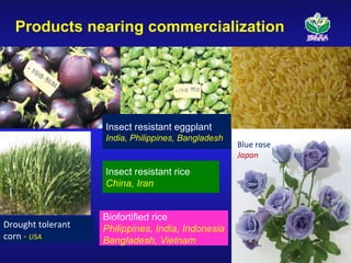 Global status of commercialized biotech/GM crops—Which way for Africa?