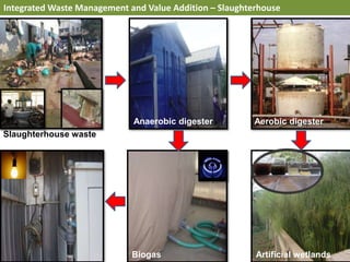 Integrated Waste Management and Value Addition – Slaughterhouse
Slaughterhouse waste
Anaerobic digester Aerobic digester
Biogas Artificial wetlands
 