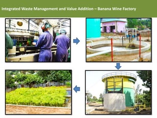 Regional initiatives to promote biosciences innovation: The BioInnovate Program overview