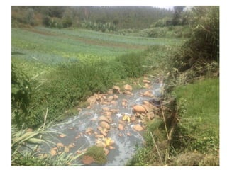 Regulation and policy incentives for innovations in industrial effluents management in Ethiopia