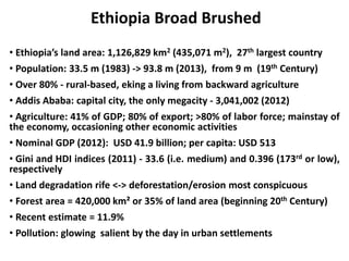 Regulation and policy incentives for innovations in industrial effluents management in Ethiopia