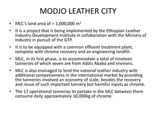 Regulation and policy incentives for innovations in industrial effluents management in Ethiopia