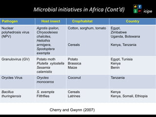 Achievements and ongoing work on biopesticides at ICIPE—Some examples and lessons learnt 