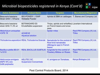 Achievements and ongoing work on biopesticides at ICIPE—Some examples and lessons learnt 