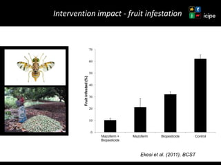 Achievements and ongoing work on biopesticides at ICIPE—Some examples and lessons learnt 