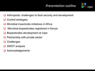 Achievements and ongoing work on biopesticides at ICIPE—Some examples and lessons learnt 