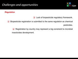 Achievements and ongoing work on biopesticides at ICIPE—Some examples and lessons learnt 
