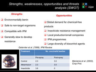 Achievements and ongoing work on biopesticides at ICIPE—Some examples and lessons learnt 