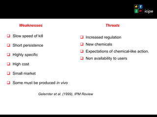 Achievements and ongoing work on biopesticides at ICIPE—Some examples and lessons learnt 