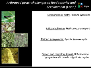 Achievements and ongoing work on biopesticides at ICIPE—Some examples and lessons learnt 