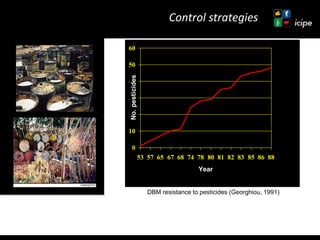 Achievements and ongoing work on biopesticides at ICIPE—Some examples and lessons learnt 