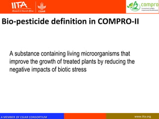 Opportunities and limitations of bio-pesticide regulatory framework in sub-Saharan Africa for improved quality, storage and profitability