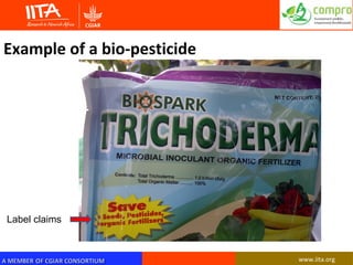 Opportunities and limitations of bio-pesticide regulatory framework in sub-Saharan Africa for improved quality, storage and profitability