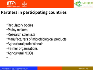 Opportunities and limitations of bio-pesticide regulatory framework in sub-Saharan Africa for improved quality, storage and profitability