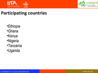 Opportunities and limitations of bio-pesticide regulatory framework in sub-Saharan Africa for improved quality, storage and profitability