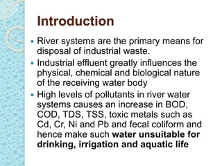 Development and deployment of industrial effluent treatment systems in sub-Saharan Africa: Opportunities and challenges