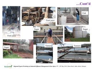 Review of policies, regulations and standards and incentives/disincentives for adoption of new effluent management technologies in the agro process industry in Uganda