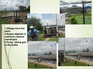 Policy and legislative environment for value addition for agro-based industrial effluents in Kenya