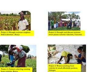 Delivering biosciences innovations to the market place: Bio-Innovate program strategy