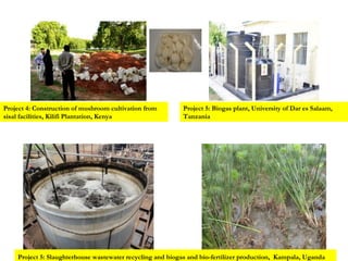 Delivering biosciences innovations to the market place: Bio-Innovate program strategy