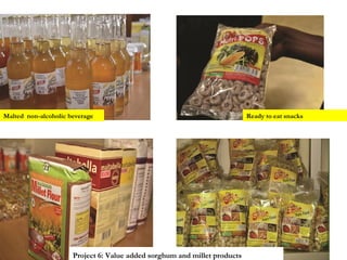 Delivering biosciences innovations to the market place: Bio-Innovate program strategy