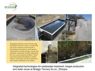 Delivering biosciences innovations to the market place: Bio-Innovate program strategy