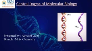 Click to edit Master title style
1
Title Here
S u b t i t l e
Central Dogma of Molecular Biology
Presented by : Aayushi Goel
Branch : M.Sc Chemistry
DNA
RNA
 