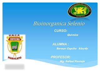 Bioinorganica Selenio
CURSO:
Química
ALUMNA :
Beraun Capcha kleydy
PROFESOR:
Mg. Rafael Pantoja
 