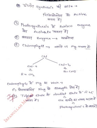 et nthesis
<br>
Photoythesis Rubisco
<br>
Atfne te bAT
<br>
engme
<br>
Cloephyet
<br>
Che
<br>
Atine.
<br>
Rubfsco enme
<br>
Phetosythesi s tNAJŠ
<br>
 