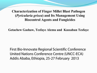 First Bio-Innovate Regional Scientific Conference
United Nations Conference Centre (UNCC-ECA)
Addis Ababa, Ethiopia, 25-27 February 2013
Characterization of Finger Millet Blast Pathogen
(Pyricularia grisea) and Its Management Using
Biocontrol Agents and Fungicides
Getachew Gashaw, Tesfaye Alemu and Kassahun Tesfaye
 