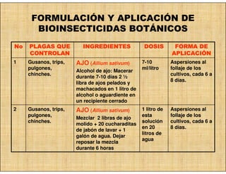 FORMULACIÓN Y APLICACIÓN DE
       BIOINSECTICIDAS BOTÁNICOS
No   PLAGAS QUE          INGREDIENTES              DOSIS        FORMA DE
     CONTROLAN                                                 APLICACIÓ
                                                               APLICACIÓN
1    Gusanos, trips,   AJO (Allium sativum)       7-10         Aspersiones al
     pulgones,                                    ml/litro     follaje de los
                       Alcohol de ajo: Macerar
     chinches.                                                 cultivos, cada 6 a
                       durante 7-10 días 2 ½
                                                               8 días.
                       libra de ajos pelados y
                       machacados en 1 litro de
                       alcohol o aguardiente en
                       un recipiente cerrado
2    Gusanos, trips,   AJO (Allium sativum)       1 litro de   Aspersiones al
     pulgones,                                    esta         follaje de los
                       Mezclar 2 libras de ajo
     chinches.                                    solución     cultivos, cada 6 a
                       molido + 20 cucharaditas
                                                  en 20        8 días.
                       de jabón de lavar + 1
                                                  litros de
                       galón de agua. Dejar
                                                  agua
                       reposar la mezcla
                       durante 6 horas
 