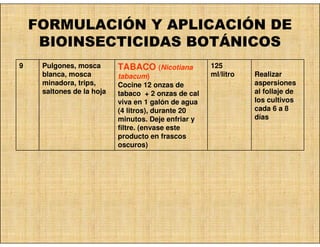 FORMULACIÓN Y APLICACIÓN DE
     BIOINSECTICIDAS BOTÁNICOS
9    Pulgones, mosca       TABACO (Nicotiana         125
     blanca, mosca         tabacum)                  ml/litro   Realizar
     minadora, trips,      Cocine 12 onzas de                   aspersiones
     saltones de la hoja   tabaco + 2 onzas de cal              al follaje de
                           viva en 1 galón de agua              los cultivos
                           (4 litros), durante 20               cada 6 a 8
                           minutos. Deje enfriar y              días
                           filtre. (envase este
                           producto en frascos
                           oscuros)
 