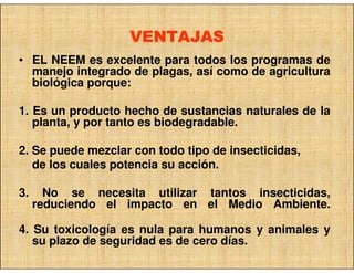 VENTAJAS
• EL NEEM es excelente para todos los programas de
  manejo integrado de plagas, así como de agricultura
  biológica porque:

1. Es un producto hecho de sustancias naturales de la
   planta, y por tanto es biodegradable.

2. Se puede mezclar con todo tipo de insecticidas,
   de los cuales potencia su acción.

3.     No se necesita utilizar tantos insecticidas,
     reduciendo el impacto en el Medio Ambiente.

4. Su toxicología es nula para humanos y animales y
   su plazo de seguridad es de cero días.
 