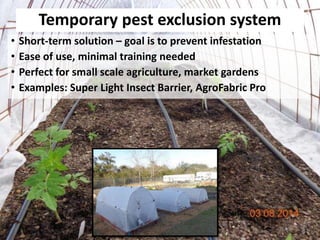 Temporary pest exclusion system
• Short-term solution – goal is to prevent infestation
• Ease of use, minimal training needed
• Perfect for small scale agriculture, market gardens
• Examples: Super Light Insect Barrier, AgroFabric Pro
 