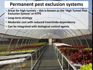 Permanent pest exclusion systems
• Great for high tunnels – this is known as the ‘High Tunnel Pest
Exclusion System’ or HTPE
• Long-term strategy
• Moderate cost with reduced insecticide-dependency
• Can be integrated with biological control agents
 