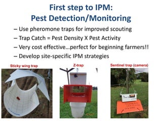 First step to IPM:
Pest Detection/Monitoring
– Use pheromone traps for improved scouting
– Trap Catch = Pest Density X Pest Activity
– Very cost effective…perfect for beginning farmers!!
– Develop site-specific IPM strategies
Sticky wing trap Z-trap Sentinel trap (camera)
 