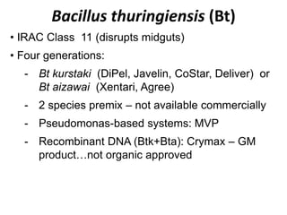 Bacillus thuringiensis (Bt)
• IRAC Class 11 (disrupts midguts)
• Four generations:
- Bt kurstaki (DiPel, Javelin, CoStar, Deliver) or
Bt aizawai (Xentari, Agree)
- 2 species premix – not available commercially
- Pseudomonas-based systems: MVP
- Recombinant DNA (Btk+Bta): Crymax – GM
product…not organic approved
 