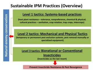 Sustainable IPM Practices (Overview)Naturalenemyconservation
Level 1 tactics: Systems-based practices
(host plant resistance – tolerance, nonpreference, chemical & physical;
cultural practices – sanitation, crop rotation, trap crops, intercrops)
Level 2 tactics: Mechanical and Physical Tactics
(temporary or permanent pest exclusion systems, pest removal manually or
specialized equipment)
Level 3 tactics: Biorational or Conventional
Insecticides
(insecticides as the last resort)
Prevent Insecticide Resistance & Pest Resurgence
 