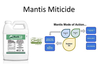 Mantis Miticide
 