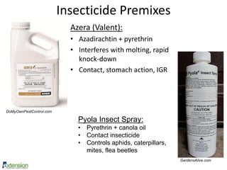 Insecticide Premixes
Azera (Valent):
• Azadirachtin + pyrethrin
• Interferes with molting, rapid
knock-down
• Contact, stomach action, IGR
Pyola Insect Spray:
• Pyrethrin + canola oil
• Contact insecticide
• Controls aphids, caterpillars,
mites, flea beetles
GardensAlive.com
DoMyOwnPestControl.com
 