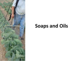 Soaps and Oils
 