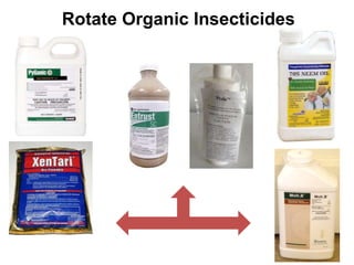 Rotate Organic Insecticides
 