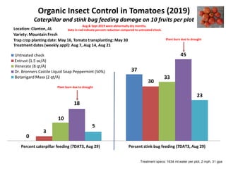 Organic Insect Control in Tomatoes (2019)
Caterpillar and stink bug feeding damage on 10 fruits per plot
0
37
3
30
10
33
18
45
5
23
Percent caterpillar feeding (7DAT3, Aug 29) Percent stink bug feeding (7DAT3, Aug 29)
Untreated check
Entrust (1.5 oz/A)
Venerate (8 qt/A)
Dr. Bronners Castile Liquid Soap Peppermint (50%)
Botanigard Maxx (2 qt/A)
Location: Clanton, AL
Variety: Mountain Fresh
Treatment dates (weekly appl): Aug 7, Aug 14, Aug 21
Treatment specs: 1634 ml water per plot, 2 mph, 31 gpa
Plant burn due to drought
Aug & Sept 2019 were abnormally dry months.
Data in red indicate percent reduction compared to untreated check.
Plant burn due to droughtTrap crop planting date: May 16, Tomato transplanting: May 30
 