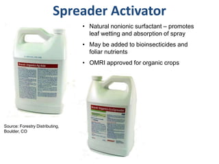 Spreader Activator
Source: Forestry Distributing,
Boulder, CO
• Natural nonionic surfactant – promotes
leaf wetting and absorption of spray
• May be added to bioinsecticides and
foliar nutrients
• OMRI approved for organic crops
 