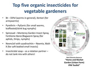 Top five organic insecticides for
vegetable gardeners
• Bt – DiPel (worms in general), Xentari (for
armyworms)
• Pyrethrin – PyGanic (for small worms,
leaffooted/stink bug nymphs)
• Spinosad – Monterey Garden Insect Spray,
Fertilome Borer/Bagworm Spray (for
aphids, thrips, nymphs)
• Neem/oil with azadirachtin – Neemix, Molt-
X (for soft bodied small insects)
• Insecticidal soap – as a rotation partner –
do not tank mix with others!
New Extension Resource
“Home and Market
Garden (Urban Farm)
IPM Toolkit”
 