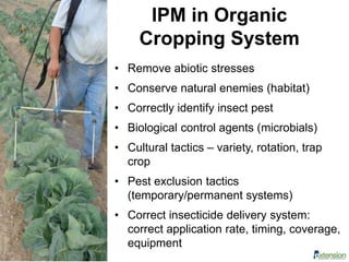 IPM in Organic
Cropping System
• Remove abiotic stresses
• Conserve natural enemies (habitat)
• Correctly identify insect pest
• Biological control agents (microbials)
• Cultural tactics – variety, rotation, trap
crop
• Pest exclusion tactics
(temporary/permanent systems)
• Correct insecticide delivery system:
correct application rate, timing, coverage,
equipment
 