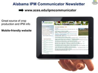 Great source of crop
production and IPM info
Mobile-friendly website
www.aces.edu/ipmcommunicator
Alabama IPM Communicator Newsletter
 