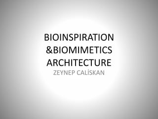 BIOINSPIRATION 
&BIOMIMETICS 
ARCHITECTURE 
ZEYNEP CALİSKAN 
 