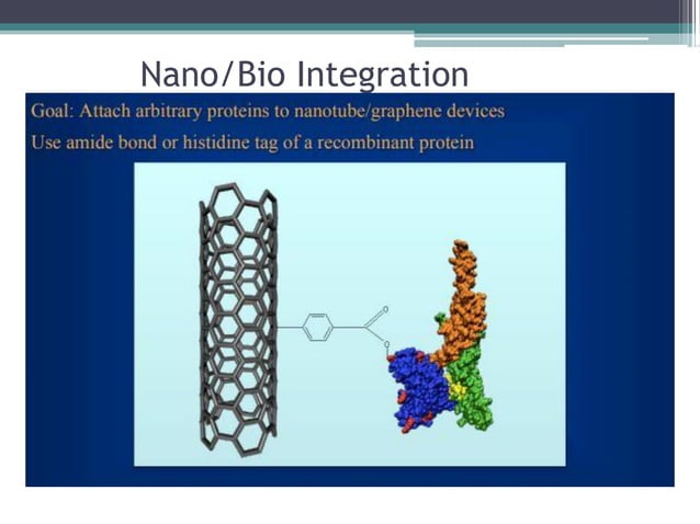 Bioinspired Nanotechnology How We Can Develop New Technology By